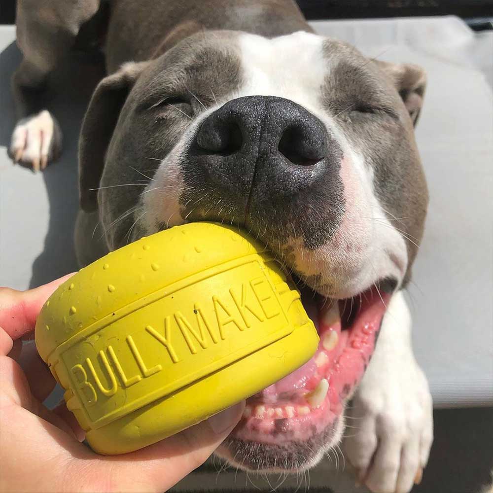 Bullymake Nylon Dog Chew Toys Manna Pro
