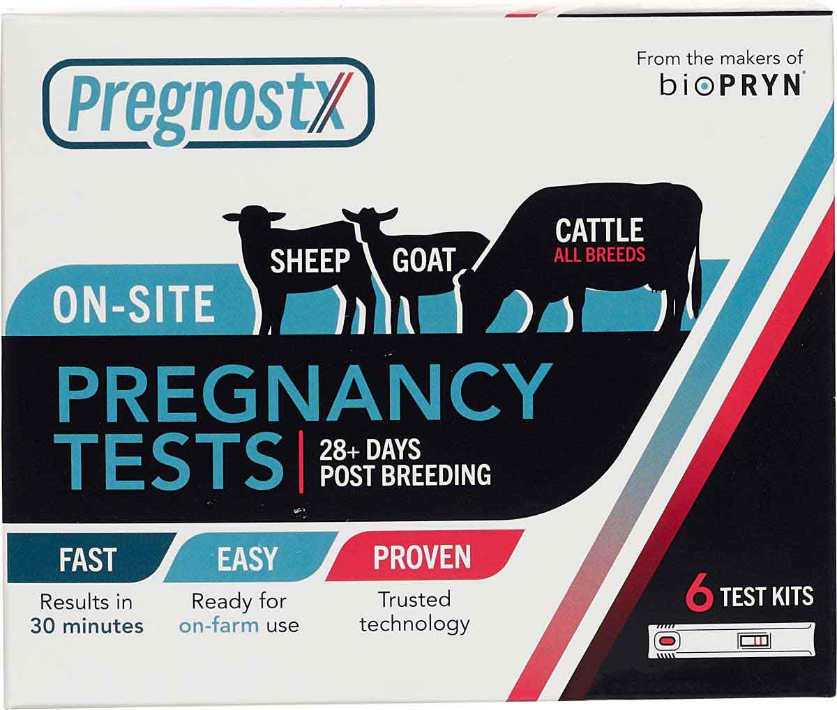 Pregnostx On Site Pregnancy Tests For Cattle Sheep And Goats pregnostx-on-site-pregnancy-tests-for-cattle-sheep-and-goats