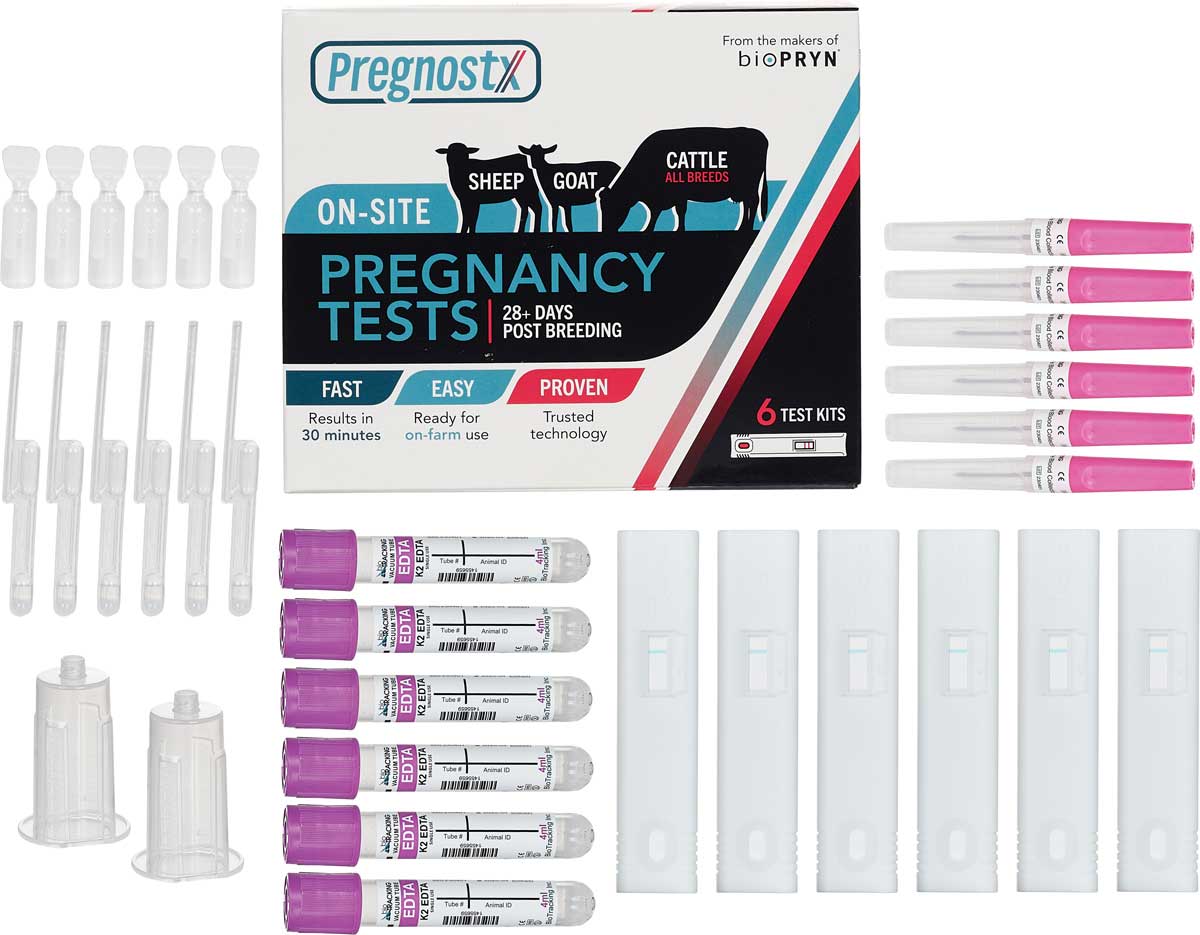 Pregnostx On Site Pregnancy Tests For Cattle Sheep And Goats pregnostx-on-site-pregnancy-tests-for-cattle-sheep-and-goats