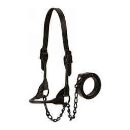 Black Magic Leather Cattle Show Halter XS (350-700 lbs) - Item # 49757