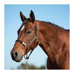 Leather/Rope Horse Halter Brown/Black - Item # 49775