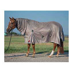 Ceramic Sheet for Horses