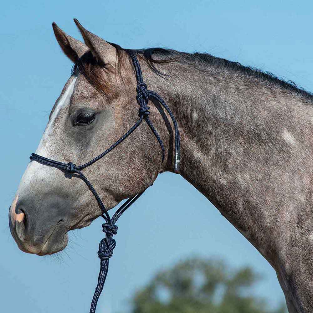 Valley Vet - Rope Horse Halter with Lead Classic Equine - Halters ...