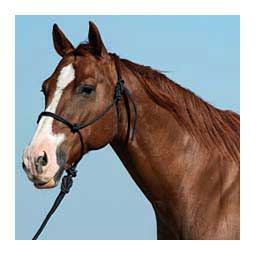 Rope Horse Halter with Lead Black - Item # 49782