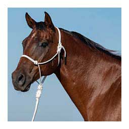 Rope Horse Halter with Lead White - Item # 49782