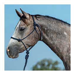 Rope Horse Halter with Lead Navy - Item # 49782