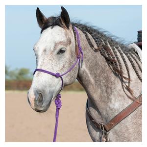 Rope Horse Halter with Lead Purple - Item # 49782