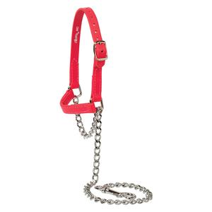 Brahma Webb Soft Grip Sheep and Goat Halter Strawberry - Item # 49786