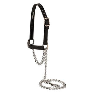Brahma Webb Clear Coat Sheep and Goat Halter Black - Item # 49787