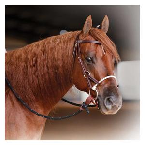 Ranch Combination Bridle Smooth Snaffle - Item # 49897