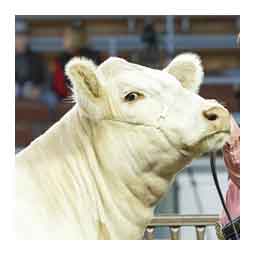 Stronghold Cattle Cable Halter White - Item # 49906