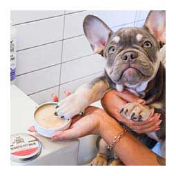 Prebiotic Pet Balm 2 oz - Item # 49940