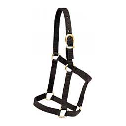 Economy Nylon Horse Halter with Brass-plated Hardware Black - Item # 49979