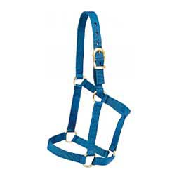 Economy Nylon Horse Halter with Brass-plated Hardware Blue - Item # 49979