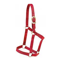 Economy Nylon Horse Halter with Brass-plated Hardware Red - Item # 49979