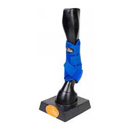 Ortho Equine Complete Comfort Support Horse Boots Royal Blue - Item # 50018