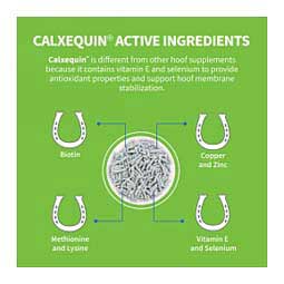 Cosequin Calxequin Daily Hoof Support Pellets for Horses 1260 g - Item # 50025