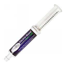 Ortho Equine Electro-Boost Paste for Horses 80 cc - Item # 50042