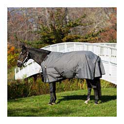 Arktis Heavy Weight Standard Neck Turnout Horse Blanket Carbon Gray - Item # 50106
