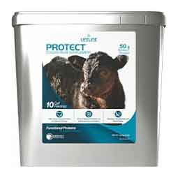 Lifeline Protect Colostrum Supplement for Newborn Dairy and Beef Calves 10 lb - Item # 50120