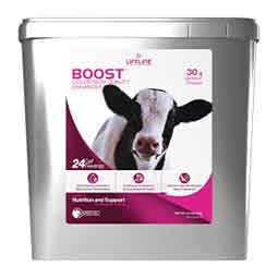 Lifeline Boost Colostrum Quality Enhancer for Newborn Dairy Calves 12 lb - Item # 50121