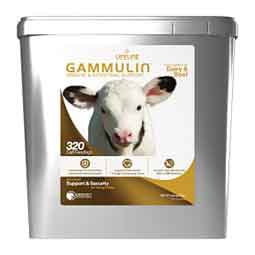 Lifeline Gammulin Immune & Intestinal Support for Dairy and Beef Calves 10 lb - Item # 50122