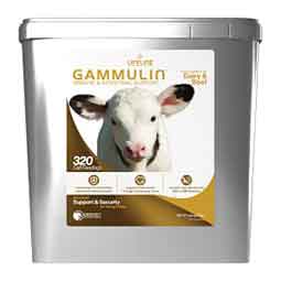 Lifeline Gammulin Immune & Intestinal Support for Dairy and Beef Calves 6 lb - Item # 50122