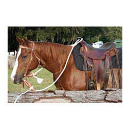 Therapeutic Western Horse Saddle Pad Black - Item # 50167