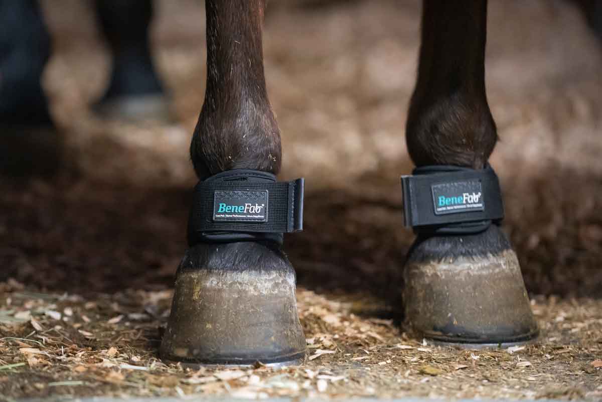Pastern boots for horses outlet