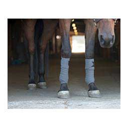 Therapeutic Polo Horse Leg Wraps Gray - Item # 50170