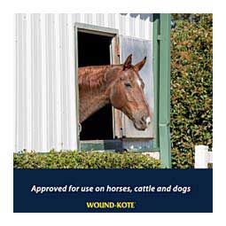 Wound-Kote Aerosol 7 oz - Item # 50206