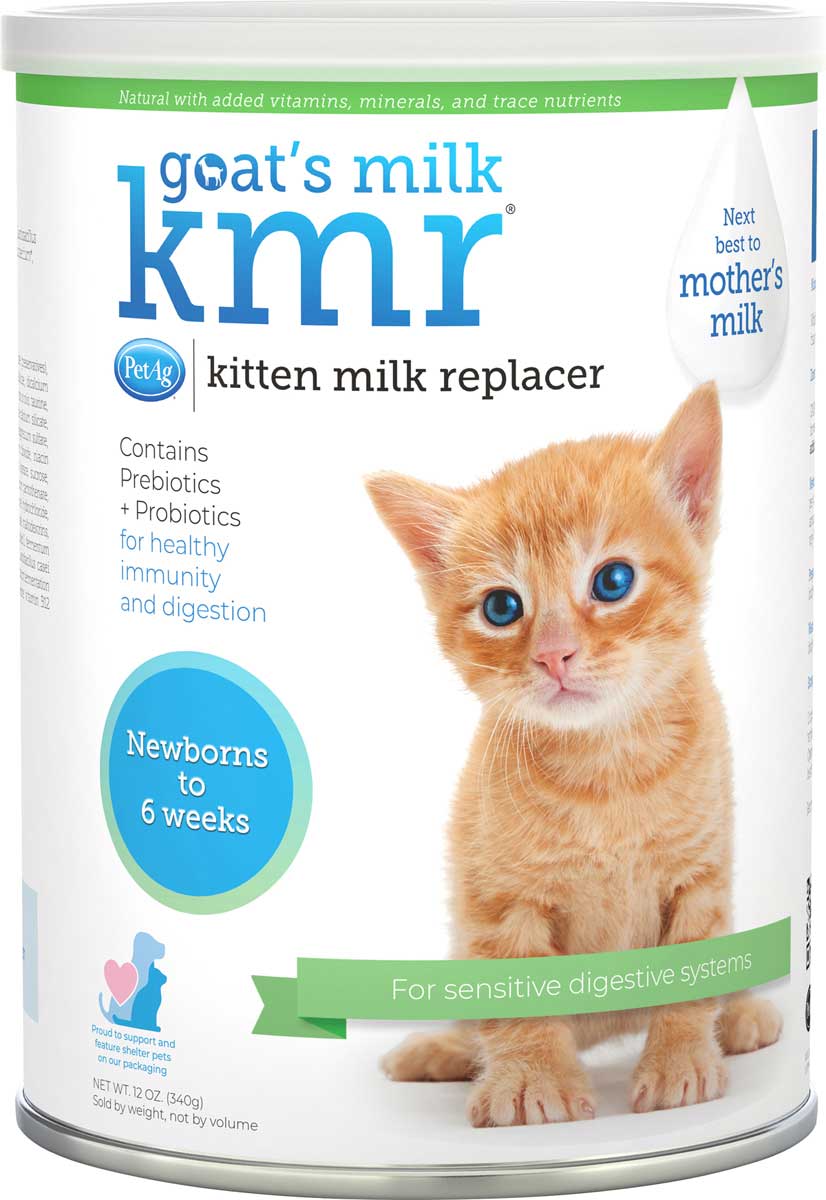Milk Best Food For Baby Cats Beaphar Lactol Kitten Best Milk For
