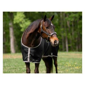 Shelter Closed Front Horse Stable Sheet Black Gray - Item # 50244
