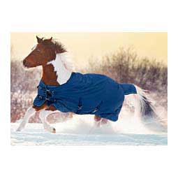 Signature Lightweight Surefit Pony Turnout Blanket Navy - Item # 50263