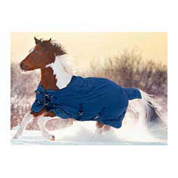 Signature Medium Weight Surefit Pony Turnout Blanket Navy - Item # 50264