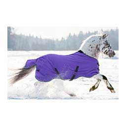 Signature Medium Weight Surefit Pony Turnout Blanket Purple - Item # 50264