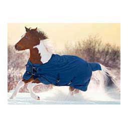 Signature Heavy Weight Surefit Pony Turnout Blanket Navy - Item # 50265