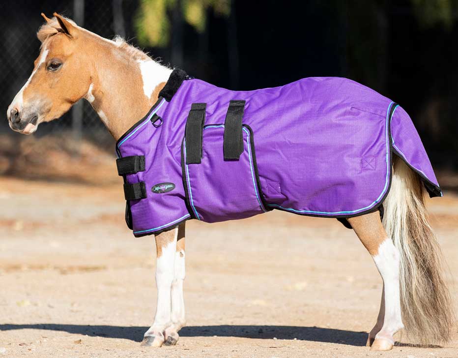 Signature Lightweight Mini Horse Turnout Blanket Kensington Turnout