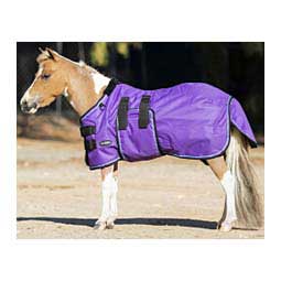 Signature Medium Weight Mini Horse Turnout Blanket Purple - Item # 50269