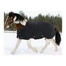 Signature Medium Weight Surefit Draft Horse Turnout Blanket Black - Item # 50273