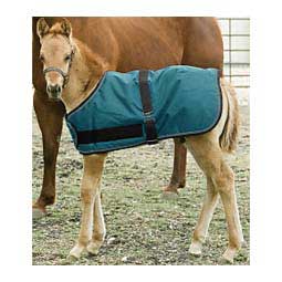 Signature Adjustable Turnout Foal Blanket Harbor - Item # 50277