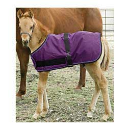 Signature Adjustable Turnout Foal Blanket Purple - Item # 50277