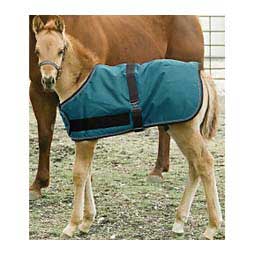 Signature Adjustable Turnout Foal Blanket Harbor - Item # 50278