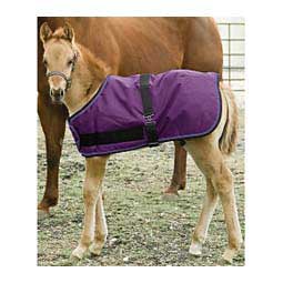 Signature Adjustable Turnout Foal Blanket Purple - Item # 50278