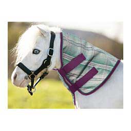 Mini Horse Protective Neck Cover Imperial Jade - Item # 50285