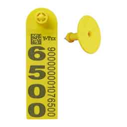 UHF EID Strip Tag 2 Side Imprint Single Ear Tag Yellow - Item # 50316