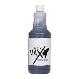 Black Max Black Intensifying Livestock Shampoo and Conditioner 1 quart - Item # 50493