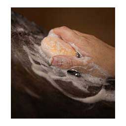 Bex Bar Shampoo Bar Citrus Slash - Item # 50525