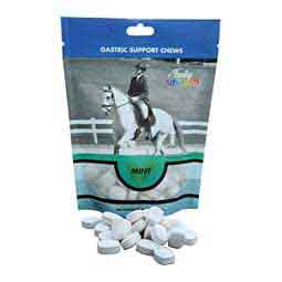 Gastric Support Antacid Chews for Horses 7 oz - Item # 50558