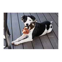 Wrangler Cow Flattie Plush Dog Toy with Ball and Rope Brown - Item # 50584